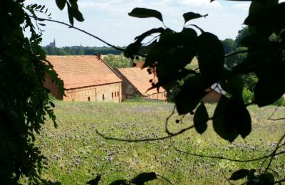 Manor house for sale Rogów Wołowski, Lower Silesia, Image 6/25