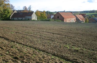 Manor house for sale Rogów Wołowski, Lower Silesia, Image 9/25