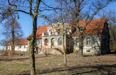Manor house Rogów Wołowski, Lower Silesia