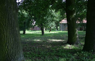 Manor house for sale Rogów Wołowski, Lower Silesia, Image 21/25