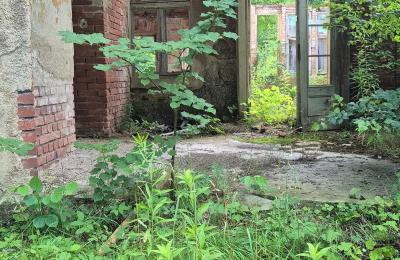 Period mansion for sale Staniszów, Lower Silesia, Image 33/38