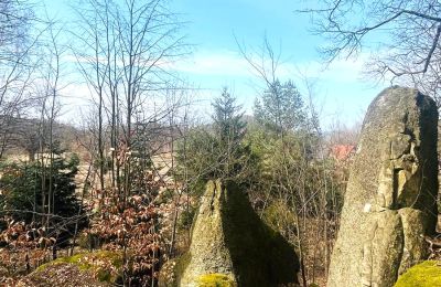 Period mansion for sale Staniszów, Lower Silesia, Image 17/26
