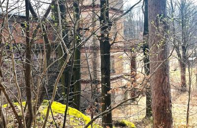 Period mansion for sale Staniszów, Lower Silesia, Image 13/26