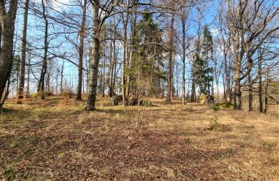 Period mansion for sale Staniszów, Lower Silesia, Image 6/26