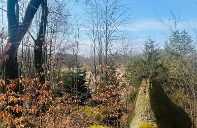 Period mansion for sale Staniszów, Lower Silesia, Image 18/26