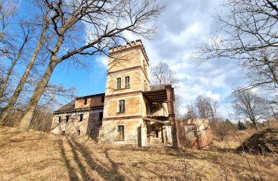 Period mansion for sale Staniszów, Lower Silesia, Image 9/26