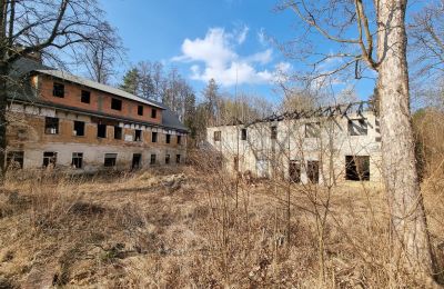 Period mansion for sale Staniszów, Lower Silesia, Image 3/26