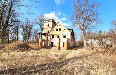 Period mansion for sale Staniszów, Lower Silesia, Image 12/26