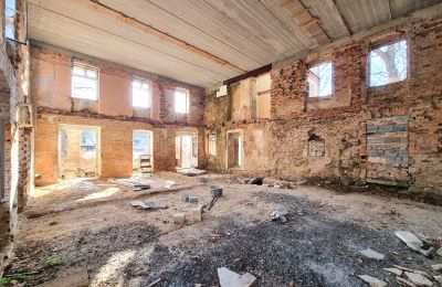 Period mansion for sale Staniszów, Lower Silesia, Image 7/26