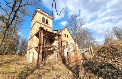 Period mansion for sale Staniszów, Lower Silesia, Image 5/26