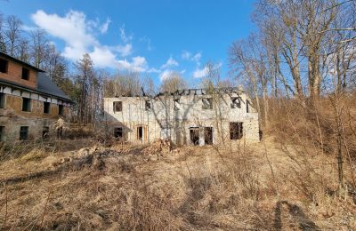 Period mansion for sale Staniszów, Lower Silesia, Image 2/26
