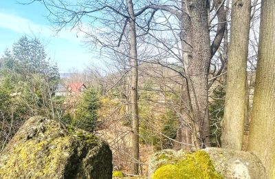 Period mansion for sale Staniszów, Lower Silesia, Image 19/26