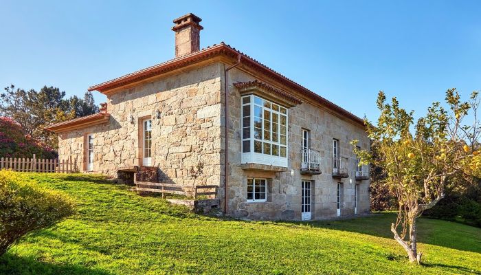 Finding a calling in Spain’s green north: Caroline Harris on courage, markets and pazos