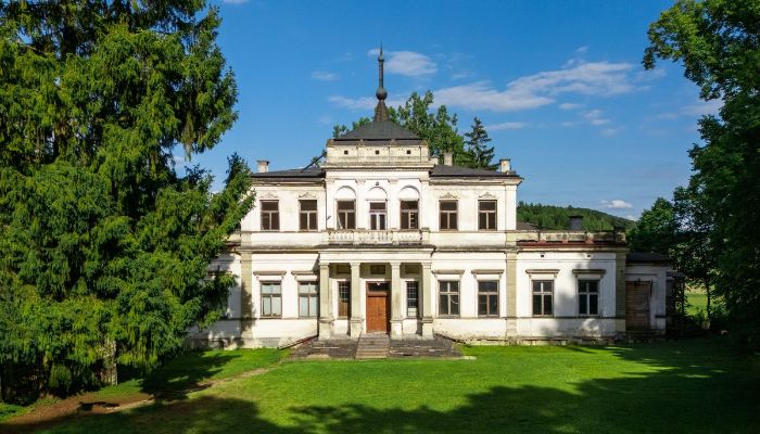 Castle Sancygniów, Holy Cross Region