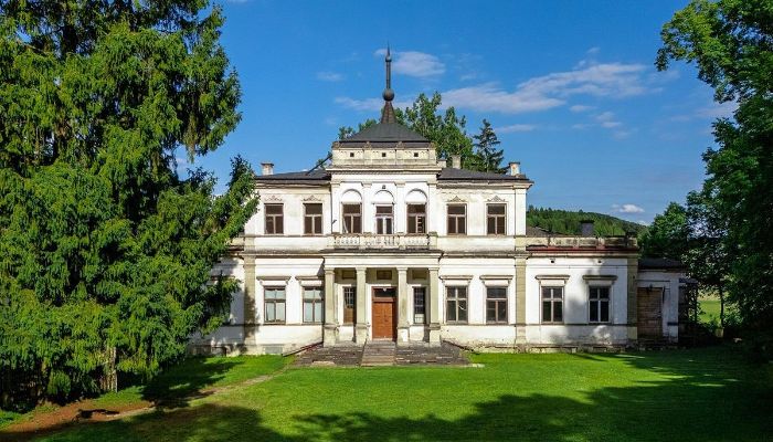 Castle for sale Sancygniów, Holy Cross Region