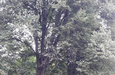 Manor house for sale Lure, Rue Kleber 8, Burgundy-Franche-Comté, Image 35/60