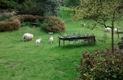 Manor house for sale Lure, Rue Kleber 8, Burgundy-Franche-Comté, Image 32/60