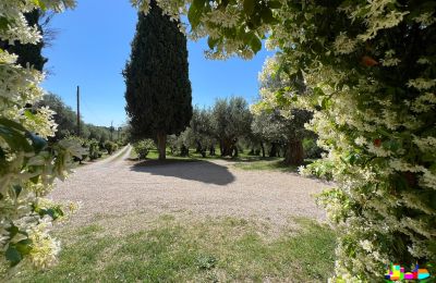 Period mansion for sale 06061 Castiglione del Lago, localita croce 2, Umbria, Image 32/38
