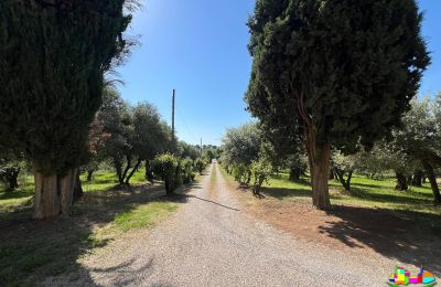 Period mansion for sale 06061 Castiglione del Lago, localita croce 2, Umbria, Image 5/38