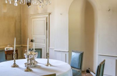 Castle for sale Chenonceaux, Centre-Loire Valley, Image 13/20