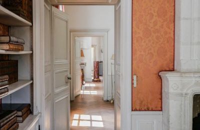 Castle for sale Chenonceaux, Centre-Loire Valley, Image 11/20