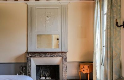 Castle for sale Chenonceaux, Centre-Loire Valley, Image 17/32