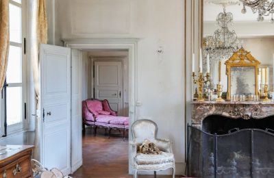 Castle for sale Chenonceaux, Centre-Loire Valley, Image 7/20