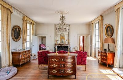 Castle for sale Chenonceaux, Centre-Loire Valley, Image 6/20