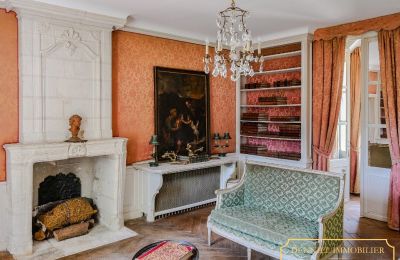 Castle for sale Chenonceaux, Centre-Loire Valley, Image 10/20