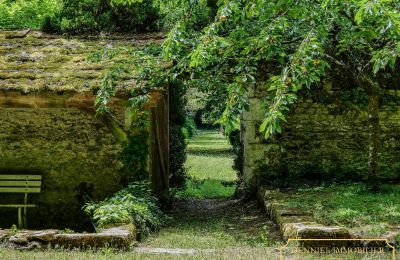 Castle for sale Chenonceaux, Centre-Loire Valley, Image 24/32