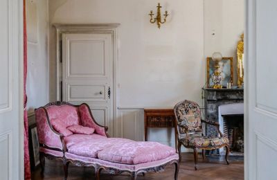 Castle for sale Chenonceaux, Centre-Loire Valley, Image 8/32