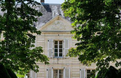 Castle for sale Chenonceaux, Centre-Loire Valley, Image 3/20