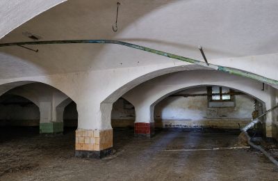 Historic property for sale Wioska, Kuyavia-Pomerania, Image 9/19