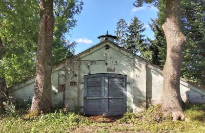 Historic property for sale Wioska, Kuyavia-Pomerania, Image 3/19
