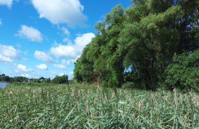 Historic property for sale Wioska, Kuyavia-Pomerania, Image 17/19
