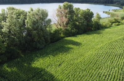 Historic property for sale Wioska, Kuyavia-Pomerania, Image 19/19