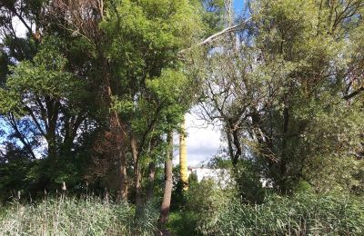 Historic property for sale Wioska, Kuyavia-Pomerania, Image 18/19