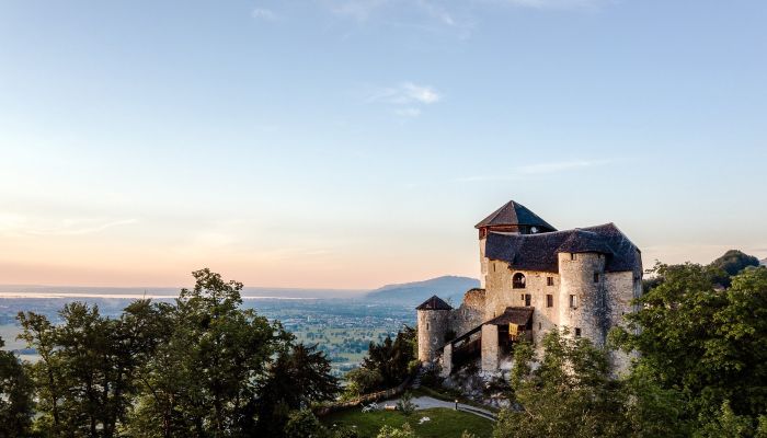 Castle for sale 6845 Hohenems, Vorarlberg