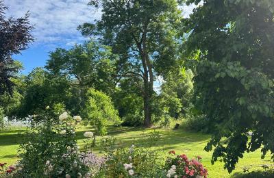 Medieval castle for sale 18513 Glewitz, Turow 19, Mecklenburg-West Pomerania, Image 50/100