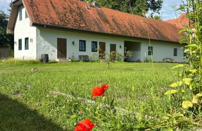 Medieval castle for sale 18513 Glewitz, Turow 19, Mecklenburg-West Pomerania, Image 71/100