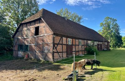 Medieval castle for sale 18513 Glewitz, Turow 19, Mecklenburg-West Pomerania, Image 82/100