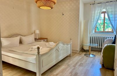 Medieval castle for sale 18513 Glewitz, Turow 19, Mecklenburg-West Pomerania, Image 40/100