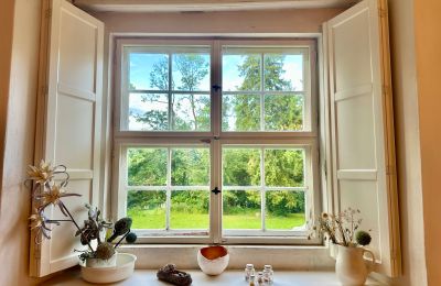 Medieval castle for sale 18513 Glewitz, Turow 19, Mecklenburg-West Pomerania, Blick in den Schlosspark