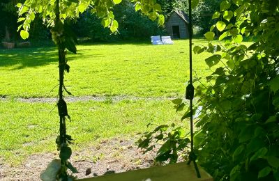 Medieval castle for sale 18513 Glewitz, Turow 19, Mecklenburg-West Pomerania, Image 51/100