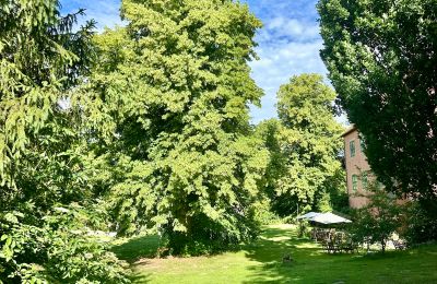 Medieval castle for sale 18513 Glewitz, Turow 19, Mecklenburg-West Pomerania, Image 55/100