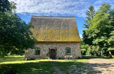 Medieval castle for sale 18513 Glewitz, Turow 19, Mecklenburg-West Pomerania, Image 63/100