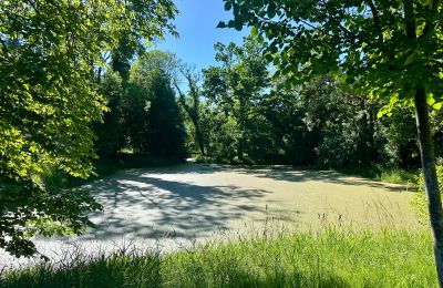 Medieval castle for sale 18513 Glewitz, Turow 19, Mecklenburg-West Pomerania, der Schloss See