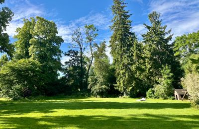 Medieval castle for sale 18513 Glewitz, Turow 19, Mecklenburg-West Pomerania, Image 53/100