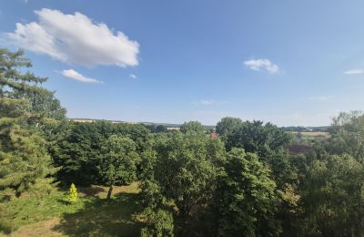 Castle for sale Koźmice, Lower Silesia, Image 8/35