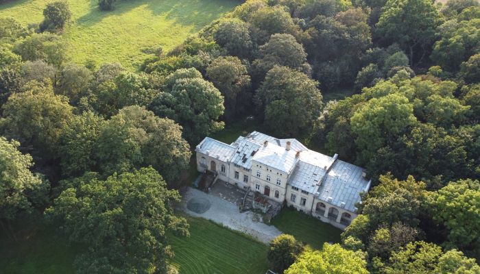 Manor house for sale Pakosław, Greater Poland